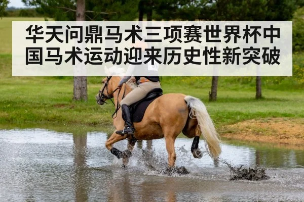 cross country horse riding