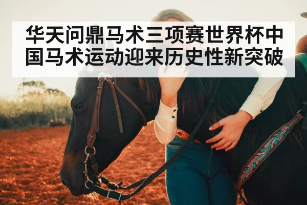 horse and rider bond