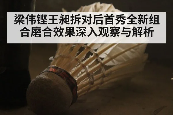 梁伟铿王昶拆对后首秀全新组合磨合效果深入观察与解析